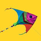Colourful Flying Toys & Kites