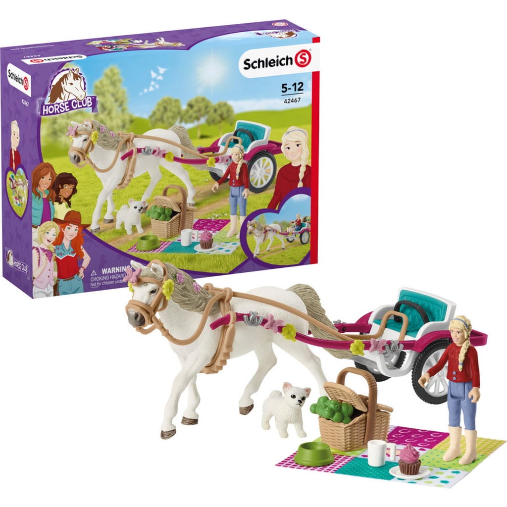 Accessoires Horse Club Schleich – Couverture Et Licol Pour Poney – Figurines Réalistes – Cadeau Pour Enfants Dès 3 Ans