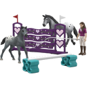 42776 - Horse Club - Lisa's Show Training