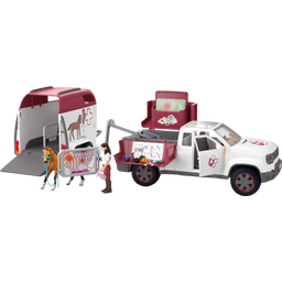 42704 - Konjeniški klub - Mobilni veterinar s prikolico