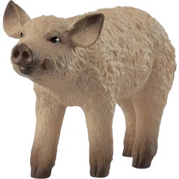 Schleich 14893 - Farm World - Mladič mangalice