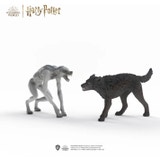 14906 - Harry Potter - Lupo mannaro contro Animagus