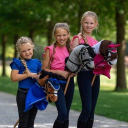 QHP Hobby Horse - brown pinto