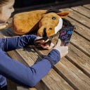 QHP Hobby Horse - Bruin