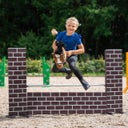 QHP Hobby Horse - Bruin