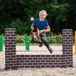 QHP Hobby Horse - Bruin