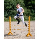 QHP Martingala per Hobby horse - Marrone scuro