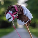 QHP Halfter-Set Hobby horse - fuchsia