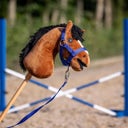 QHP Set para Cabezada Hobby Horse - 