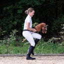 QHP Sunset Bridle, Hobby Horse, black - 1 item