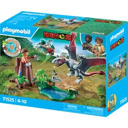 71525 - DINOS Opazovalna postaja za Dimorphodona - 1 k.