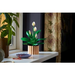 LEGO Botanicals - 11504 Confidential 3