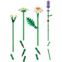 LEGO Botanicals - 11508 Confidential 5