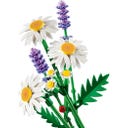 LEGO Botanicals - 11508 Confidential 5