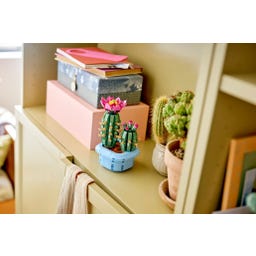 LEGO Botanicals - 11509 Confidential 6