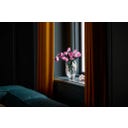 Botanične rastline - Šopek rožnatih vrtnic