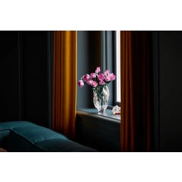 Botanične rastline - Šopek rožnatih vrtnic