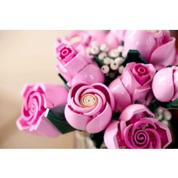 Botanične rastline - Šopek rožnatih vrtnic