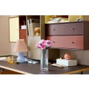 Botanične rastline - Šopek rožnatih vrtnic