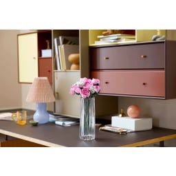 Botanične rastline - Šopek rožnatih vrtnic