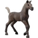 Schleich 81460 - Horse Club - Žrebiček Darcy