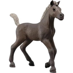 Schleich 81460 - Horse Club - Žrebiček Darcy - 1 k.