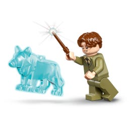 Harry Potter - 76463 Hogwarts™ Castle: Hospital Wing