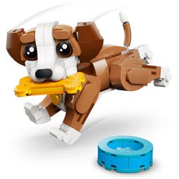 Creator - 31382 Niedliche Tiere: Verspielter Welpe