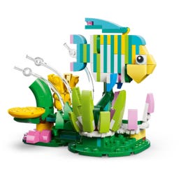 Creatore - 31384 Animali selvatici: Colibrì colorato