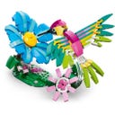 Creatore - 31384 Animali selvatici: Colibrì colorato