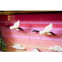 Art - 31218 Japanische Kirschblütenlandschaft