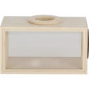 Esschert Design Insect Observation Box - 1 item