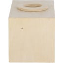 Esschert Design Station d’Observation des Insectes - 1 pcs