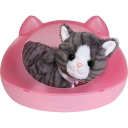 Zapf Creation Mein Kätzchen Cookie mit Box - 1 Stk