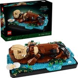 LEGO Ideas 21366 - Schwimmende Otter