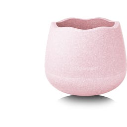 Stapelstein Base Rose