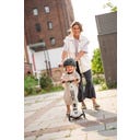 Scoot and Ride Highwaykick Push and Go Ash