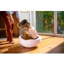 Stapelstein Original Grow rose