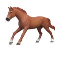 14915 - Horse Club - English Thoroughbred Stallion