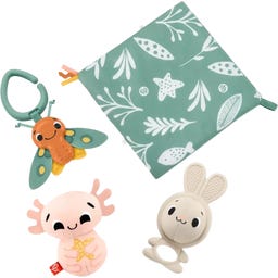 Fisher Price Sensorische Erlebnisse Geschenkset - 1 Stk