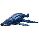 MATTEL Wild Roar Brauchenius - 1 item