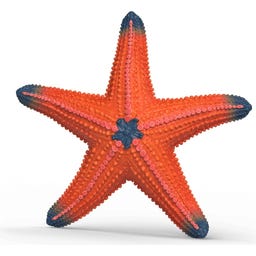 Schleich 14902 - Wild Life - Seestern - 1 Stk