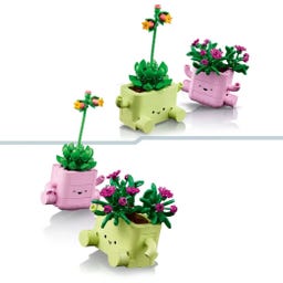 LEGO Botanicals 11506 Schaukelnde Pflanzen