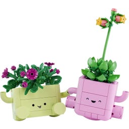 LEGO Botanicals 11506 Schaukelnde Pflanzen