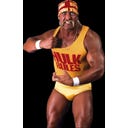 PLAYMOBIL 71958 - WWE® Hulk Hogan - 1 Stk