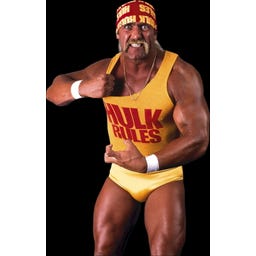 PLAYMOBIL 71958 - WWE® Hulk Hogan - 1 Stk