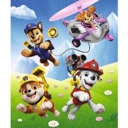 Maxi Puzzle Premium Plus 24 Teile – Paw Patrol - 1 Stk