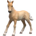 Schleich 81482 - Horse Club - Sammelfohlen Reina