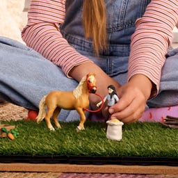 Schleich 42797 - Horse Club - Emily's Pflege Set