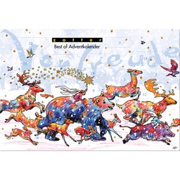 Best of Adventkalender met Biologische Chocolade - 300 g